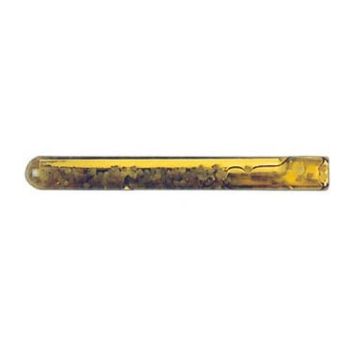 AMPOULE COLLINOX 10 Stk.